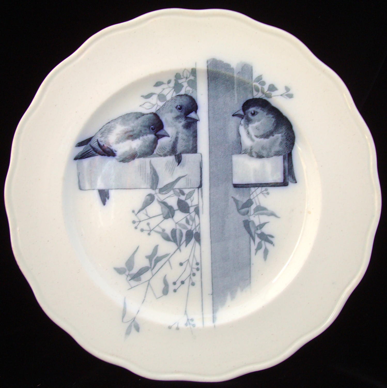 RARE Blue ORNITHOLOGY Plate ~ BIRDS 1870