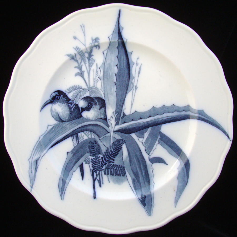 RARE Blue ORNITHOLOGY Plate ~ BIRDS 1870