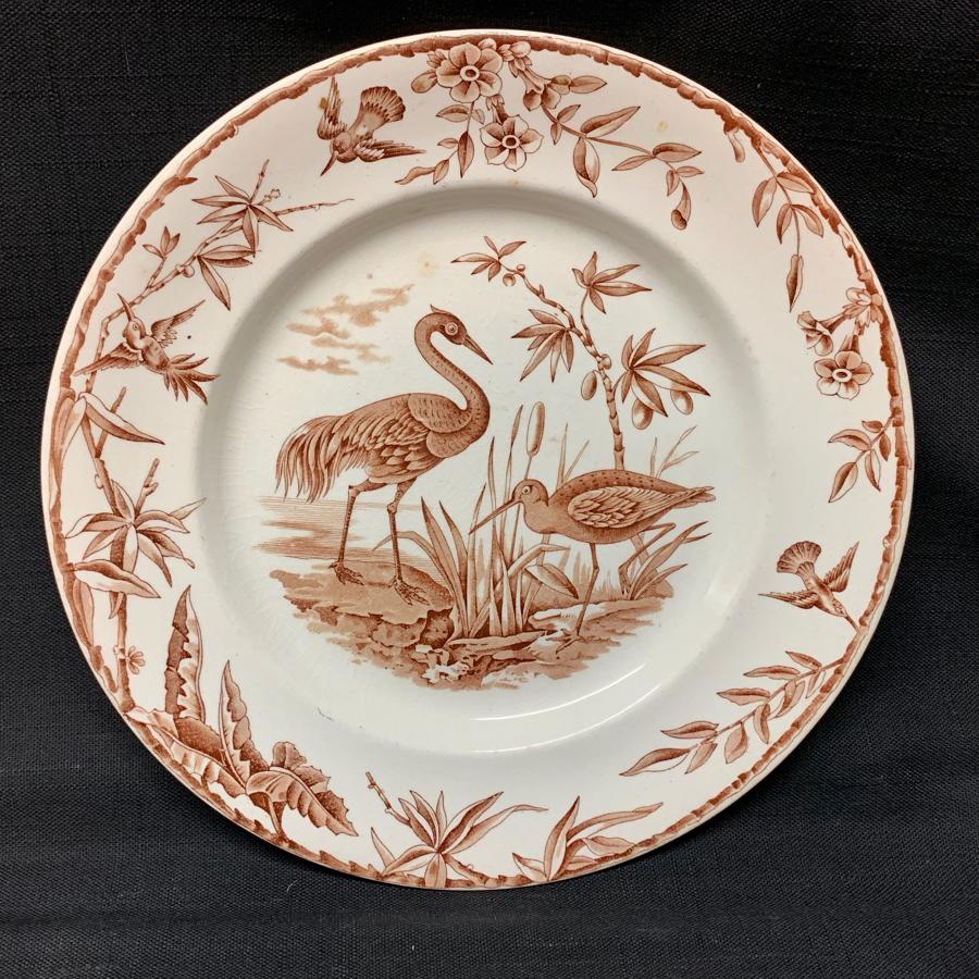 Antique Brown Transferware Plate ~ Outrageous Birds INDUS 1885