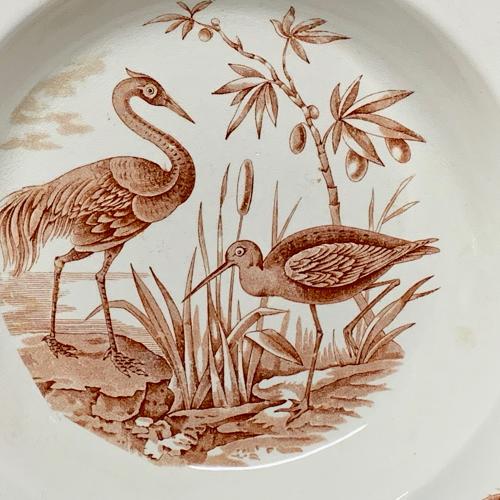 Exotic Birds INDUS Soup Plates x 4 ~ 1885