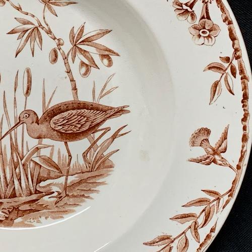 Exotic Birds INDUS Soup Plates x 4 ~ 1885