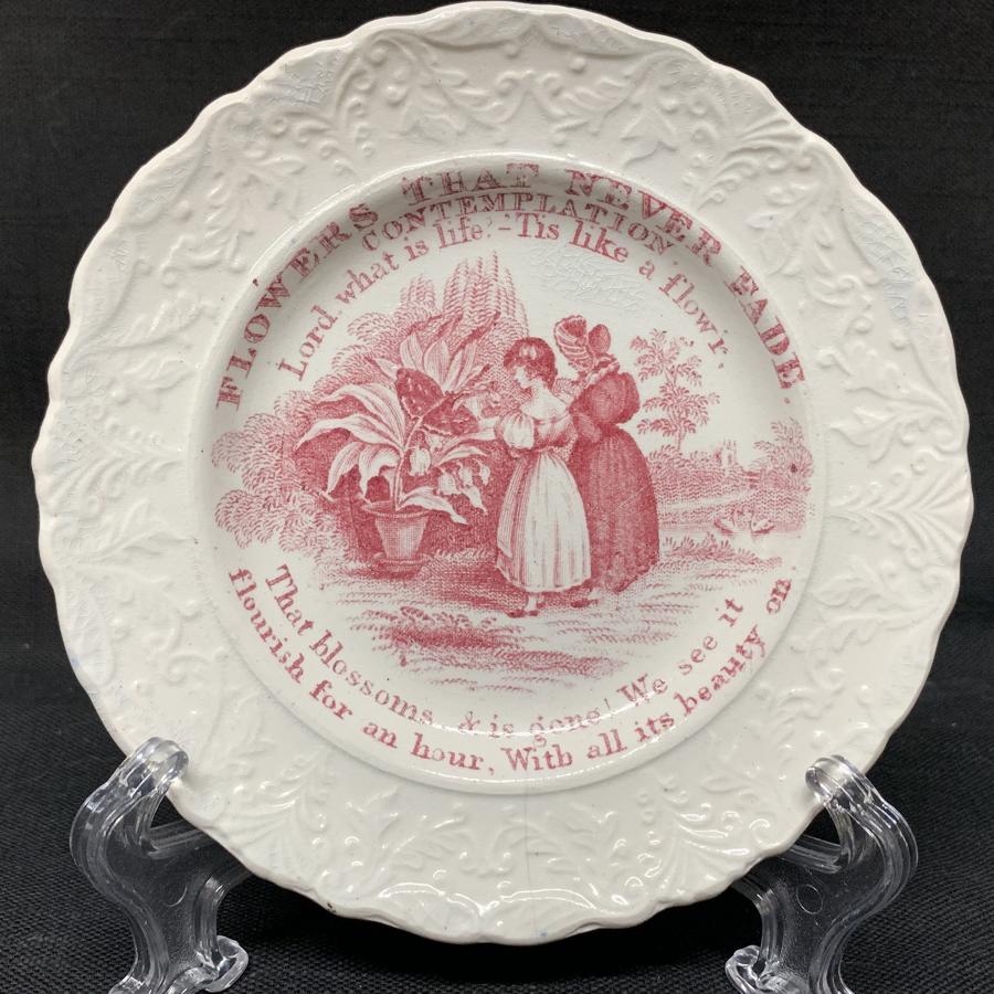 Flowers That Never Fade Plate ~ CONTEMPLATION ~ 1840