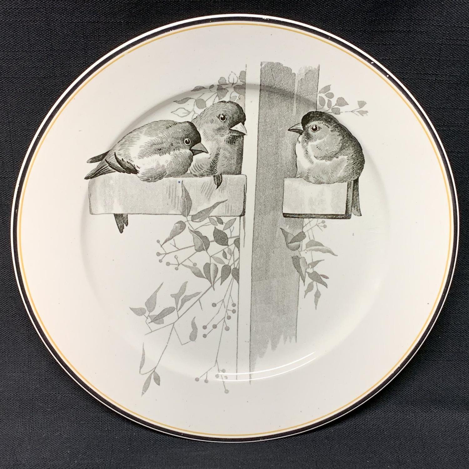 Pierre Mallet Brown Transferware ORNITHOLOGY Canova Plate ~ 1870
