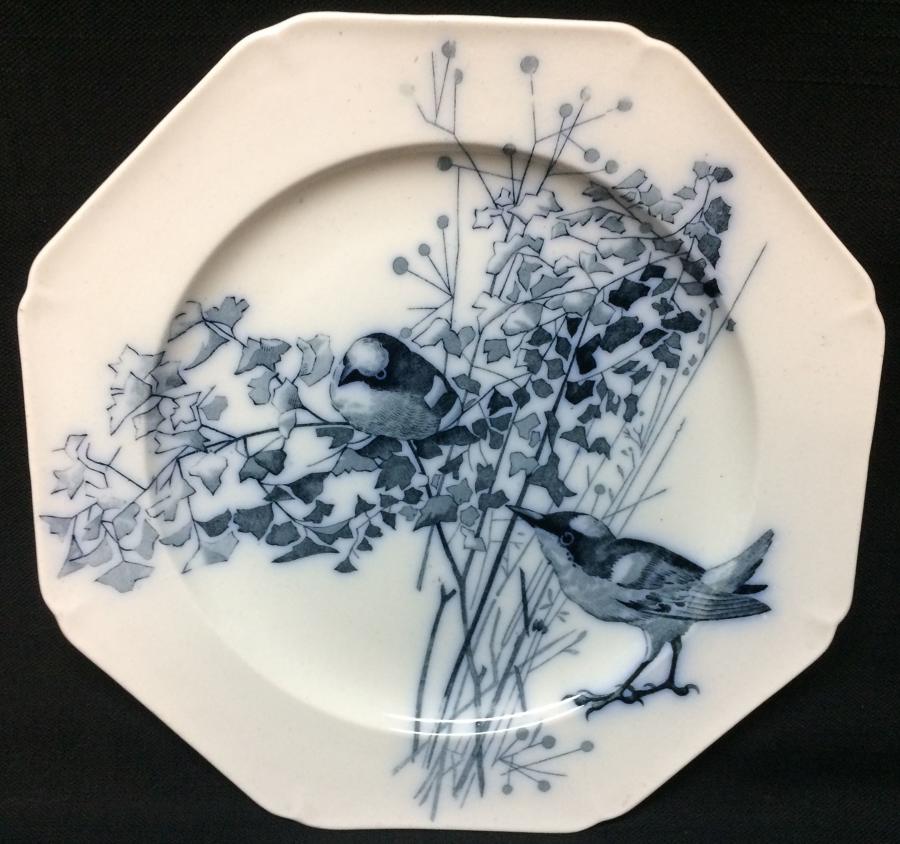 1882 ~ Artist Pierre Mallet Blue Transferware ORNITHOLOGY  Plate
