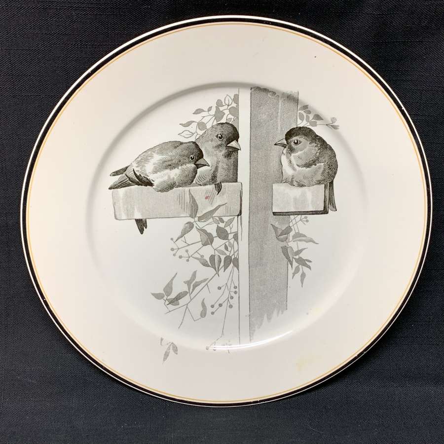 Pierre Mallet Brown Transferware ORNITHOLOGY Canova Plate ~ 1870