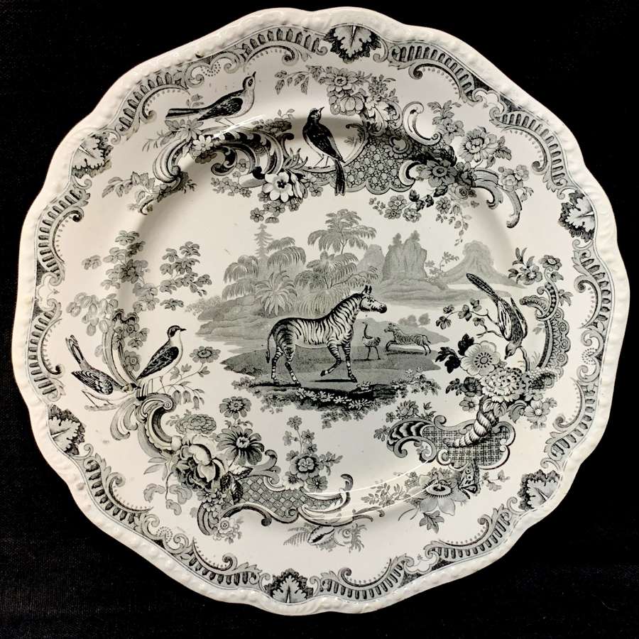 ZOOLOGICAL SKETCHES Staffordshire Plate ~ ZEBRA 1820