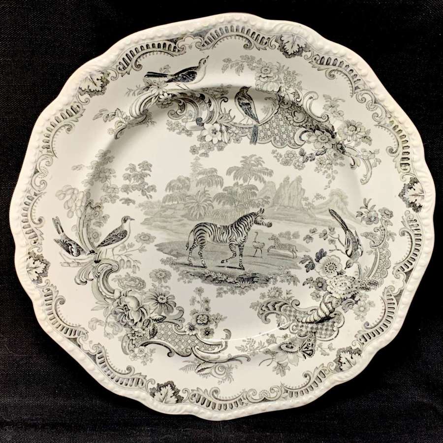 Zoological Sketches Staffordshire Plate ~ ZEBRA 1820