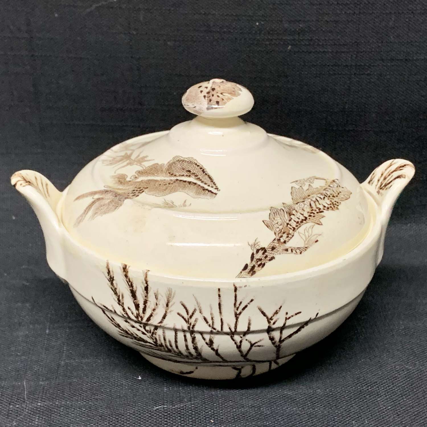Brown Transferware Sugar Pot Bowl ~ SEAWEED 1883