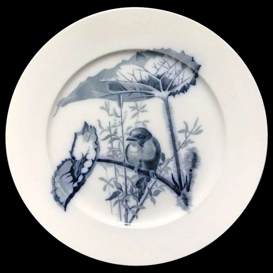 Pierre Mallet Blue Transferware ORNITHOLOGY Plate ~ 1870