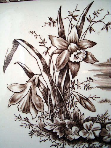 1882 ~ Brown Transferware Aesthetic Platter ~ DAFFODIL ~ Staffordshire