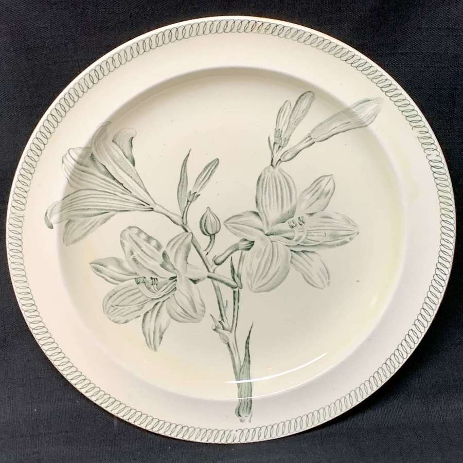 Wedgwood BOTANICAL Creamware Transferware Lilies Plate ~ 1878