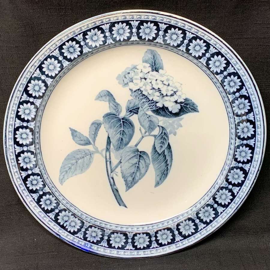 Wedgwood Blue Transfer Printed Dinner Plate ~ HYDRANGEA 1879