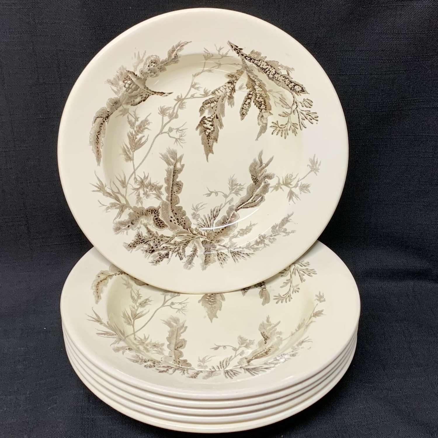 1883 Brown Transfer Printed Wedgwood Bowl Plates  SEAWEED 18 available