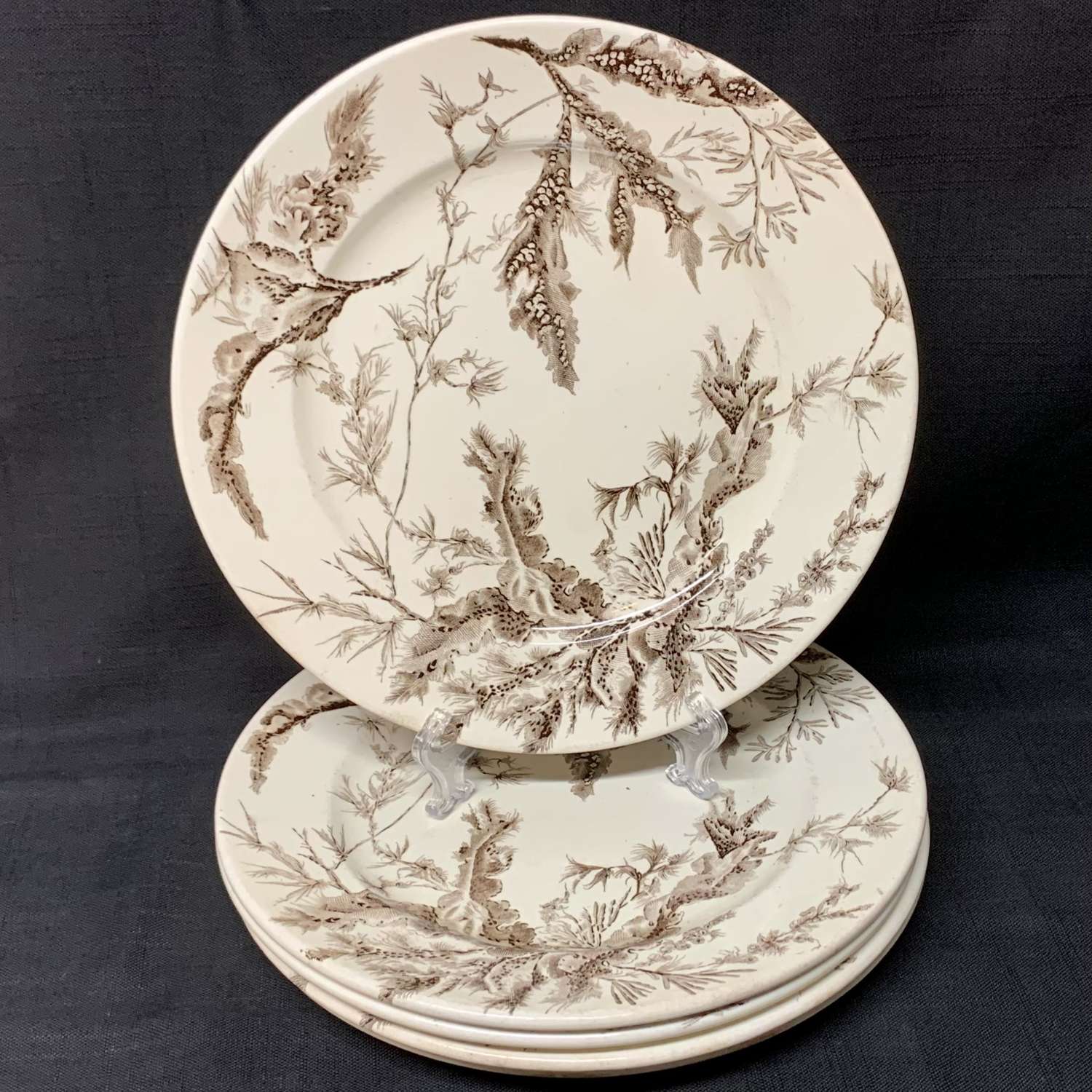 1883 ~ Brown Wedgwood Supper Plates ~ SEAWEED 1883 15 available