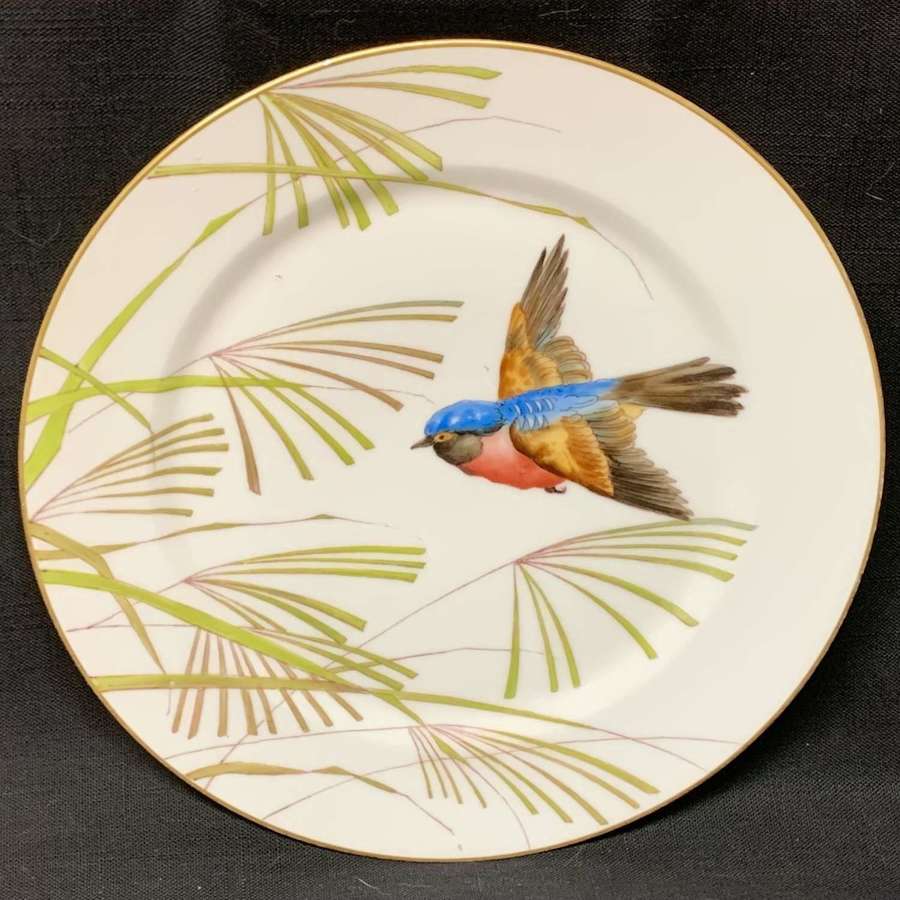 Staffordshire Polychrome Colorful Bird Porcelain Plate ~ 1880