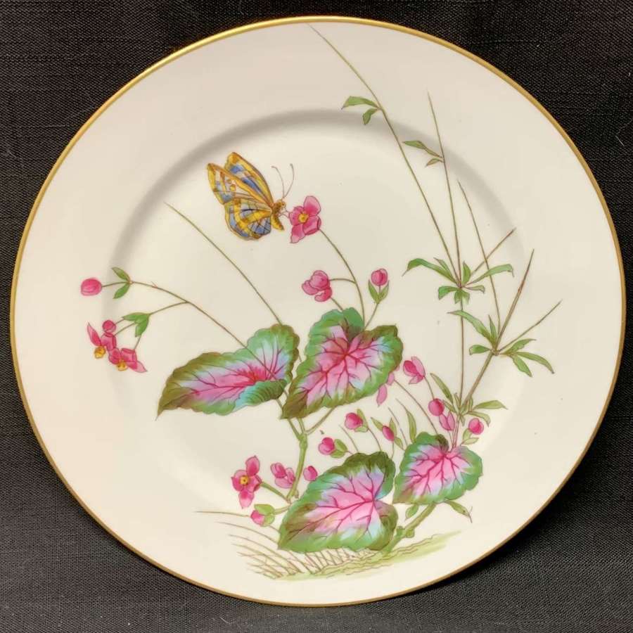 Staffordshire Polychrome Butterfly and Begonia Porcelain Plate ~ 1880