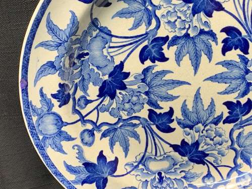 1874 ~ Botanical Transfer Printed Wedgwood Plate
