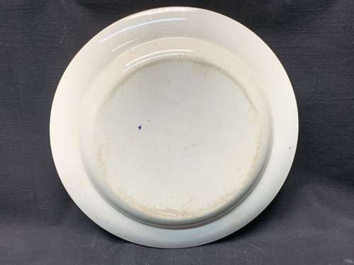 1874 ~ Botanical Transfer Printed Wedgwood Plate