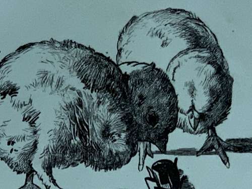 RARE Gustav Leonce Transferware Plate ~ Chicks and Beetles 1890