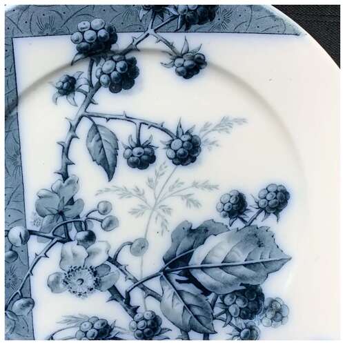 Mulberry Blue Transferware Botanical Fruit Plate ~ 1884 ~ Raspberries