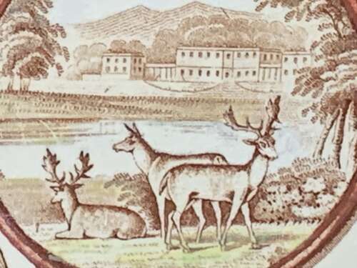 Polychrome Brown Transferware Chatsworth Plate ~ DEER in NATURE 1885