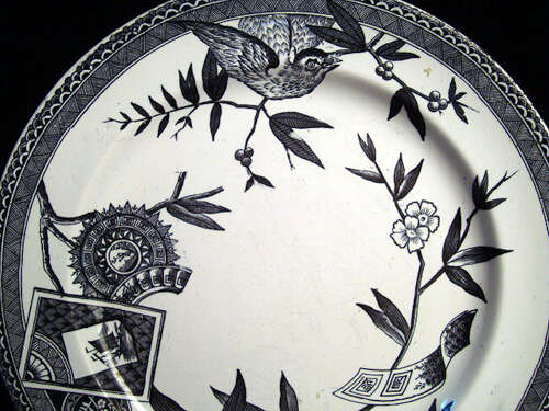 Rare Color Aesthetic Transferware Plate ~ LOUISE 1885