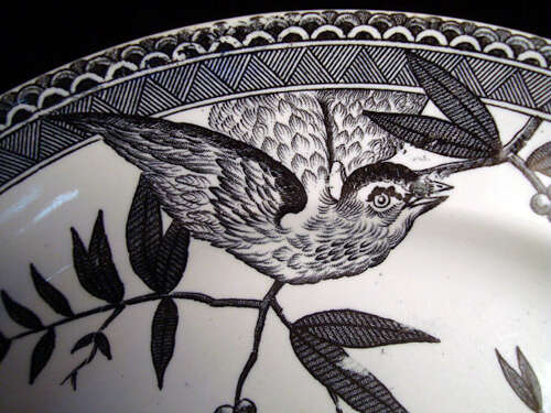 Rare Color Aesthetic Transferware Plate ~ LOUISE 1885