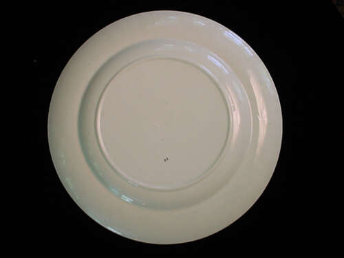 Aesthetic Black Transferware Plate ~ Kyle 1884