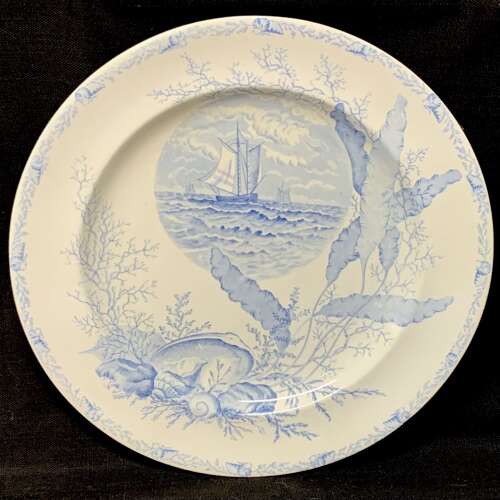 Victorian Blue Transferware Seashells Seaweed Plate ~ OCEANIC 1882