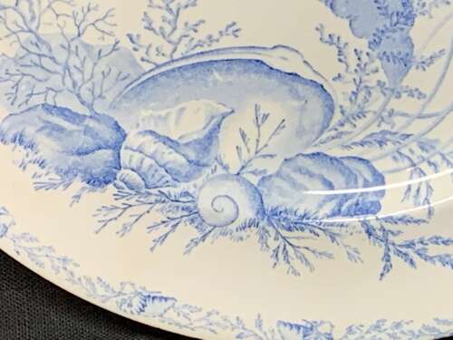 Victorian Blue Transferware Seashells Seaweed Plate ~ OCEANIC 1882