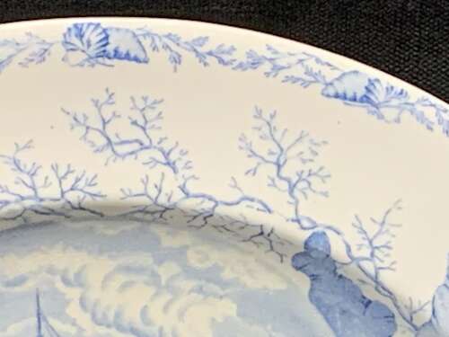 Victorian Blue Transferware Seashells Seaweed Plate ~ OCEANIC 1882