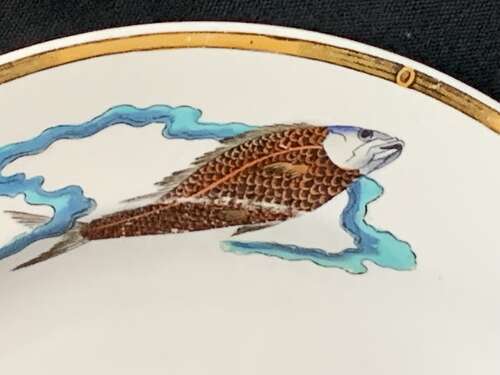 Royal Worcester Polychrome Plate ~ Rare Fish 1877