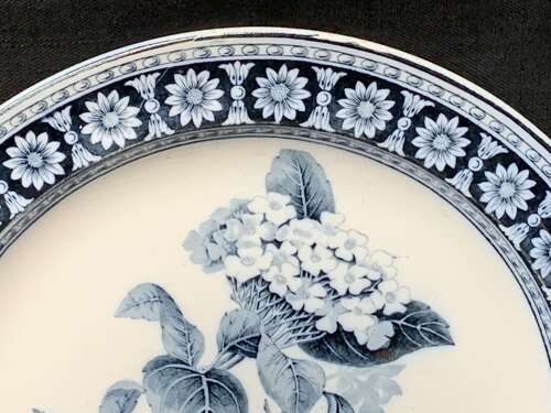 Wedgwood Blue Transfer Printed Dinner Plate ~ HYDRANGEA 1879
