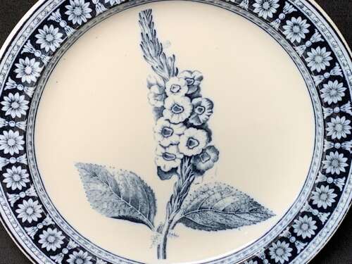Wedgwood Blue Transfer Printed Dinner Plate ~ FOXGLOVE 1879