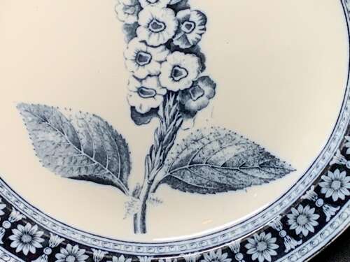 Wedgwood Blue Transfer Printed Dinner Plate ~ FOXGLOVE 1879