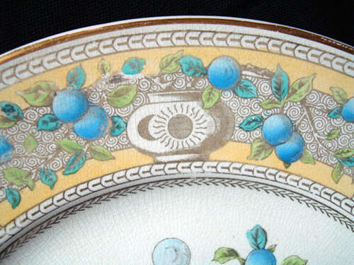 Best Aesthetic Plate ~ Mother Hubbard 1885