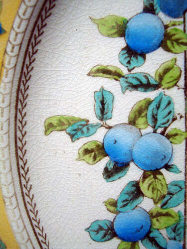 Best Aesthetic Plate ~ Mother Hubbard 1885