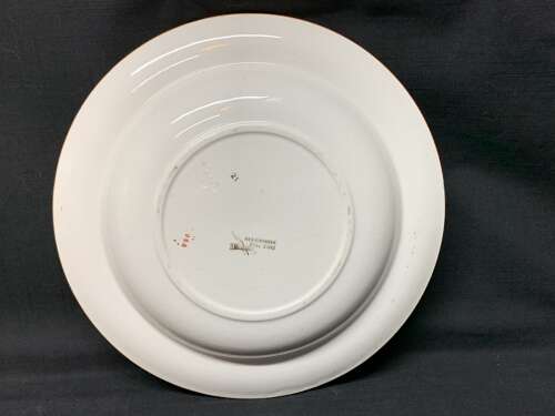 Hand Painted Victorian Soup Plate ~ Devonshire 1885