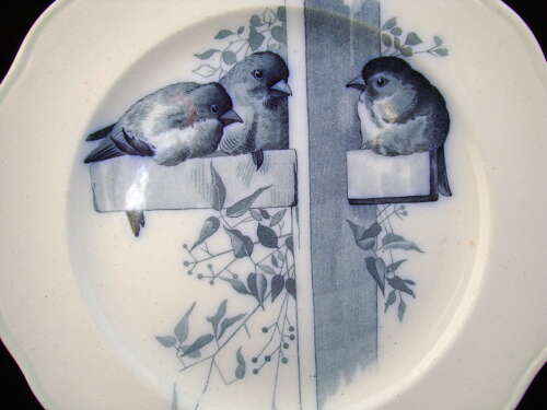 RARE Blue ORNITHOLOGY Plate ~ BIRDS 1870