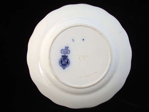 RARE Blue ORNITHOLOGY Plate ~ BIRDS 1870