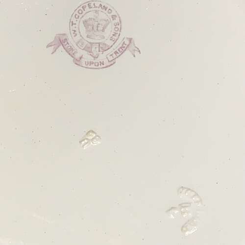 Elegant English Victorian Plate ~ PRIMROSE 1881