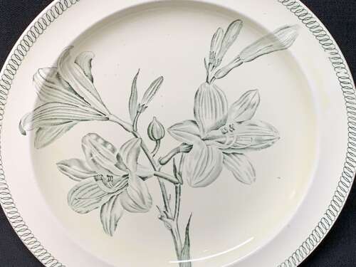 Wedgwood BOTANICAL Creamware Transferware Lilies Plate ~ 1878