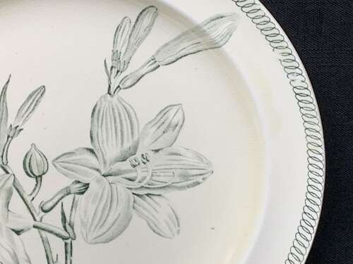 Wedgwood BOTANICAL Creamware Transferware Lilies Plate ~ 1878