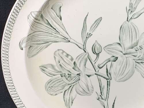 Wedgwood BOTANICAL Creamware Transferware Lilies Plate ~ 1878