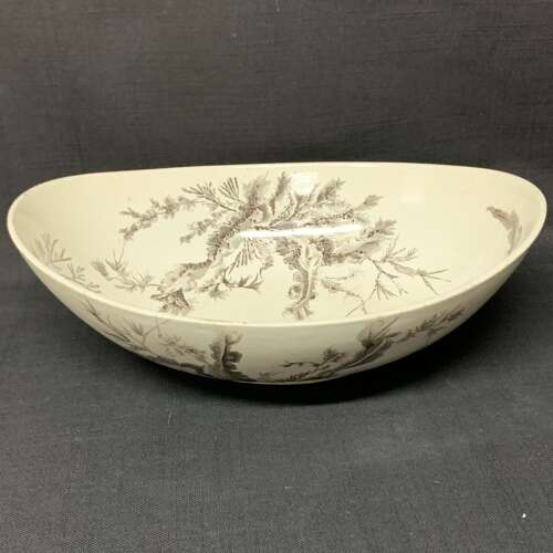 BROWN WEDGWOOD TRANSFERWARE FRUIT BOWL ~ SEAWEED 1883