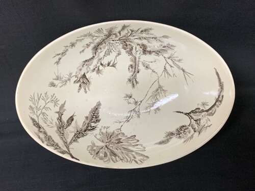 BROWN WEDGWOOD TRANSFERWARE FRUIT BOWL ~ SEAWEED 1883