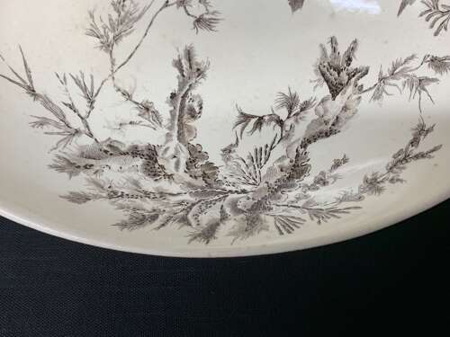 BROWN WEDGWOOD TRANSFERWARE FRUIT BOWL ~ SEAWEED 1883