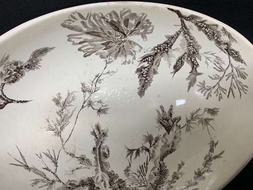 BROWN WEDGWOOD TRANSFERWARE FRUIT BOWL ~ SEAWEED 1883