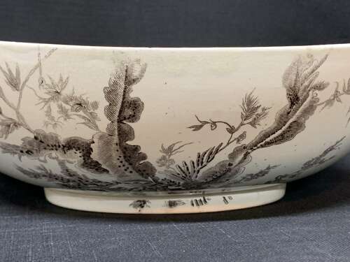 BROWN WEDGWOOD TRANSFERWARE FRUIT BOWL ~ SEAWEED 1883