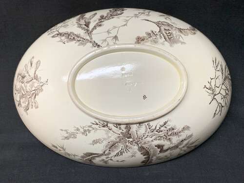 BROWN WEDGWOOD TRANSFERWARE FRUIT BOWL ~ SEAWEED 1883